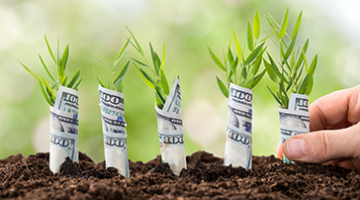 Bank For Corporate Development 364 202 Px
