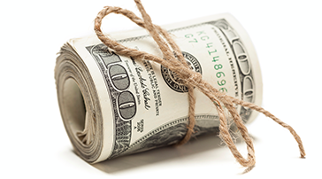 Bank For Corporate Flexibility 364 202 Px