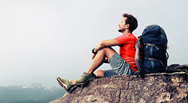 Credit Vilny 267 146 Px