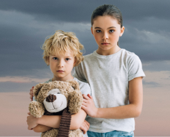 Armor Protection Site 245 197 Px